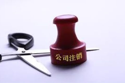 拉薩注銷一個公司，需要去幾個部門？整體時間需要多久？大概流程是怎樣的？
