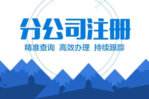 在拉薩設(shè)立分公司的流程、所需材料、辦理時(shí)間