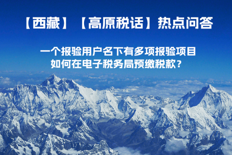 一個(gè)報(bào)驗(yàn)用戶名下有多項(xiàng)報(bào)驗(yàn)項(xiàng)目，如何在電子稅務(wù)局預(yù)繳稅款？