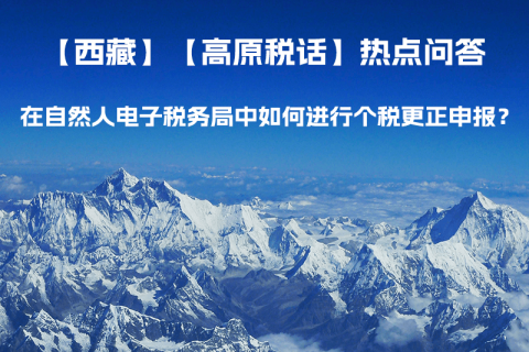 在自然人電子稅務(wù)局中如何進行個稅更正申報？