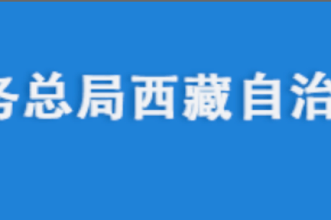 電腦更換后，自然人電子稅務(wù)局扣繳端申報(bào)收入額如何進(jìn)行累計(jì)？