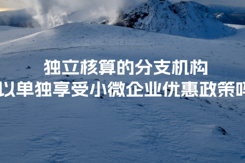 獨立核算的分支機構可以單獨享受小微企業(yè)優(yōu)惠政策嗎？