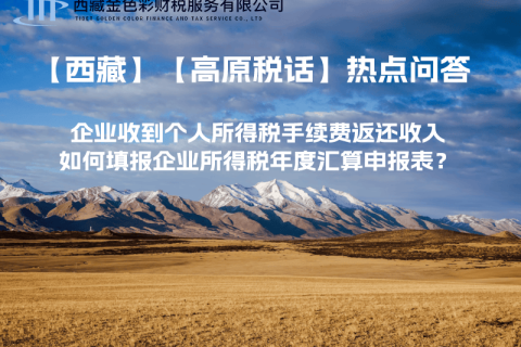企業(yè)收到個人所得稅手續(xù)費返還收入，如何填報企業(yè)所得稅年度匯算申報表？