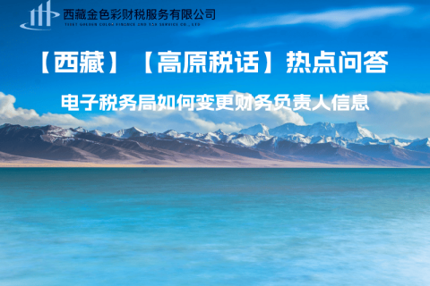 西藏電子稅務(wù)局如何變更財(cái)務(wù)負(fù)責(zé)人信息？